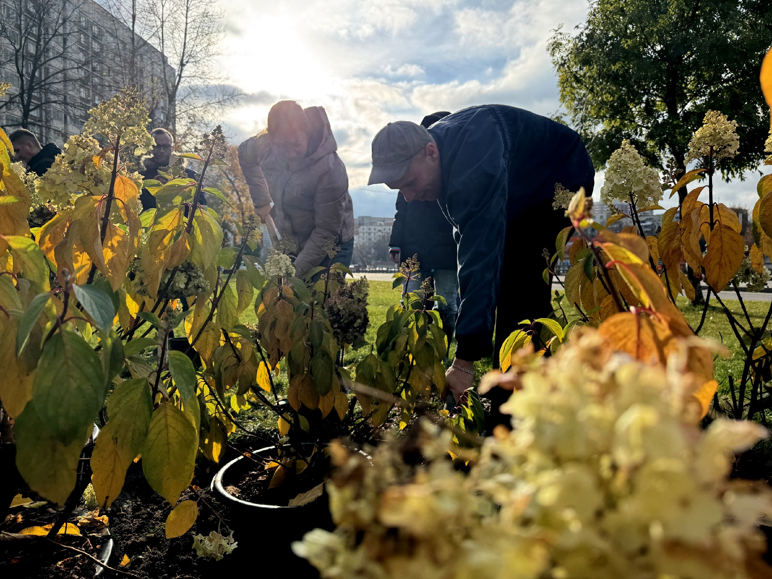 Фото: страница главы МО Елены Леликовой в социальных сетях