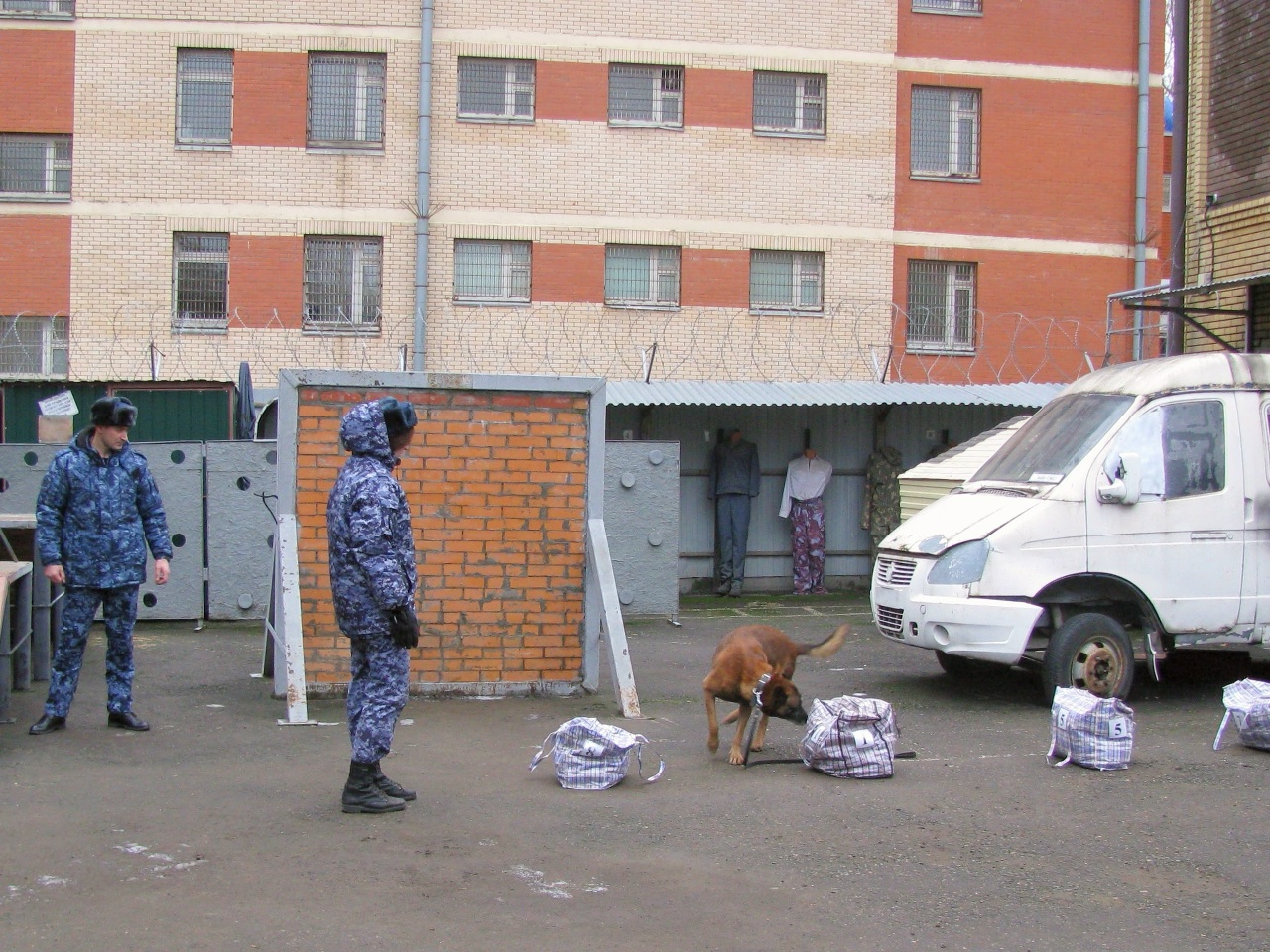 Студенты ОКГ «Столица» посетили кинологическое отделение столичного СИЗО. Фото: страница ОКГ «Столица» в социальных сетях