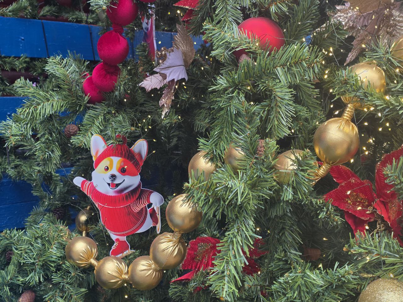 Фото: Алина Суровова