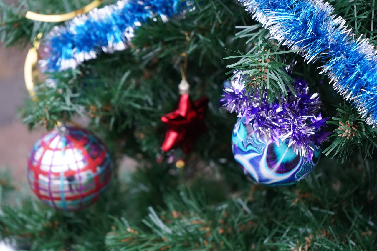 Активисты школы №2001 поздравили ветеранов Бирюлева Западного с новым годом. Фото: Анна Быкова, «Вечерняя Москва»