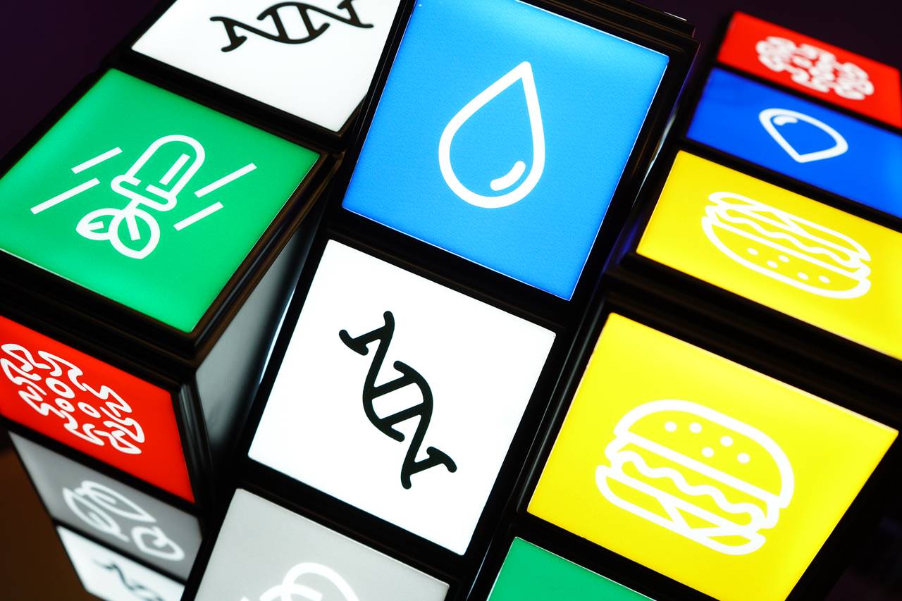 «Путешествие в мир науки»: мероприятие ко Дню российской науки пройдет в Бирюлеве Западном. Фото: Анна Быкова, «Вечерняя Москва»